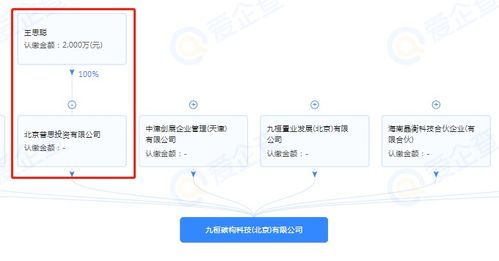 王思聰跨界布局，投資成立半導體制造公司引領技術新浪潮